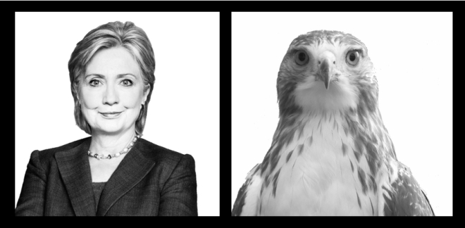 Clinton_vs_hawk_final